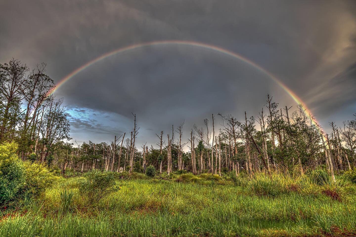 Huntington Beach State Park